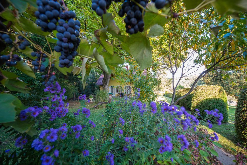 Winemakers Escape Villa Глайсдорф Екстериор снимка